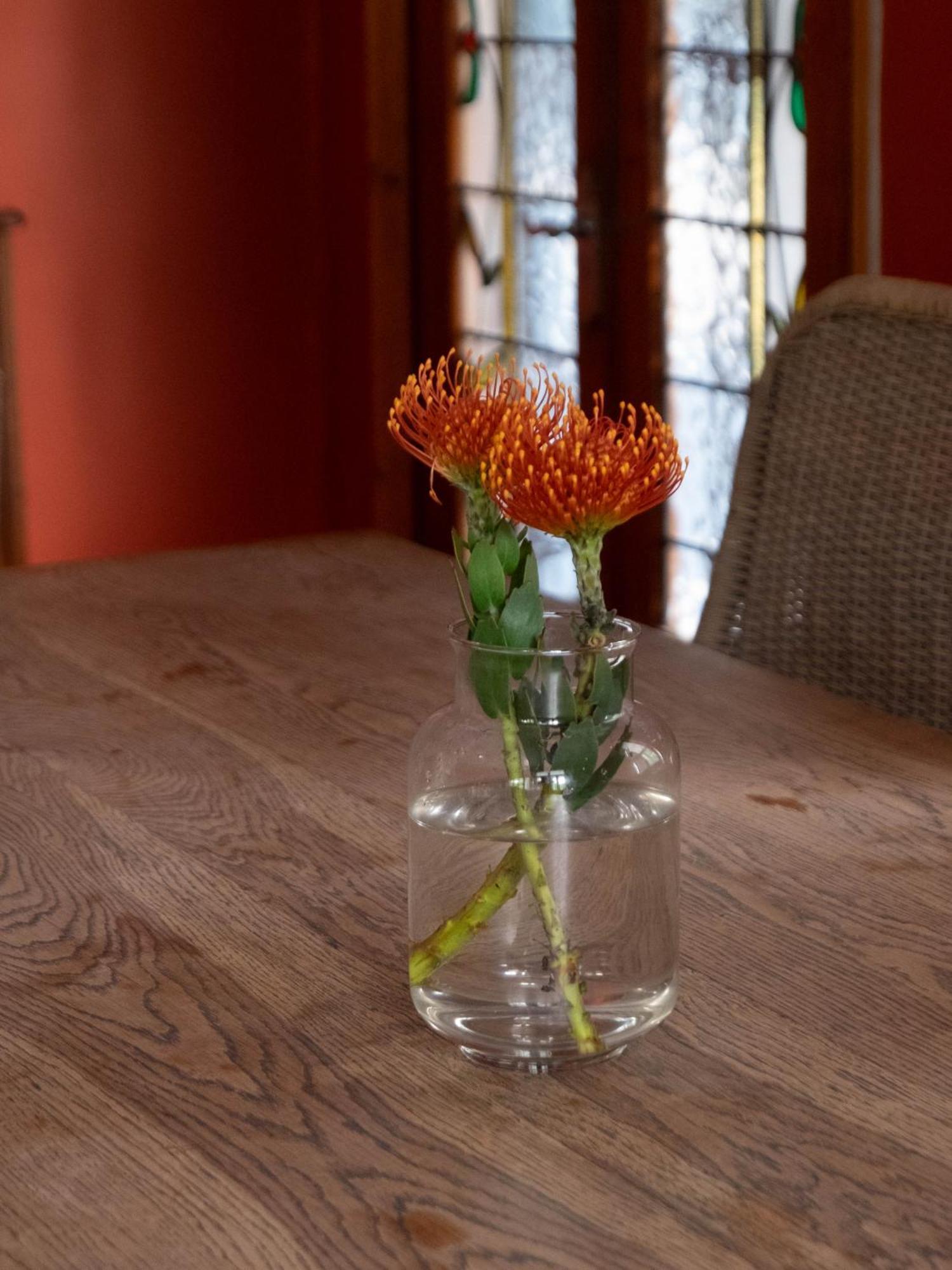 Heritage Villa Tamboerskloof Cape Town Ngoại thất bức ảnh
