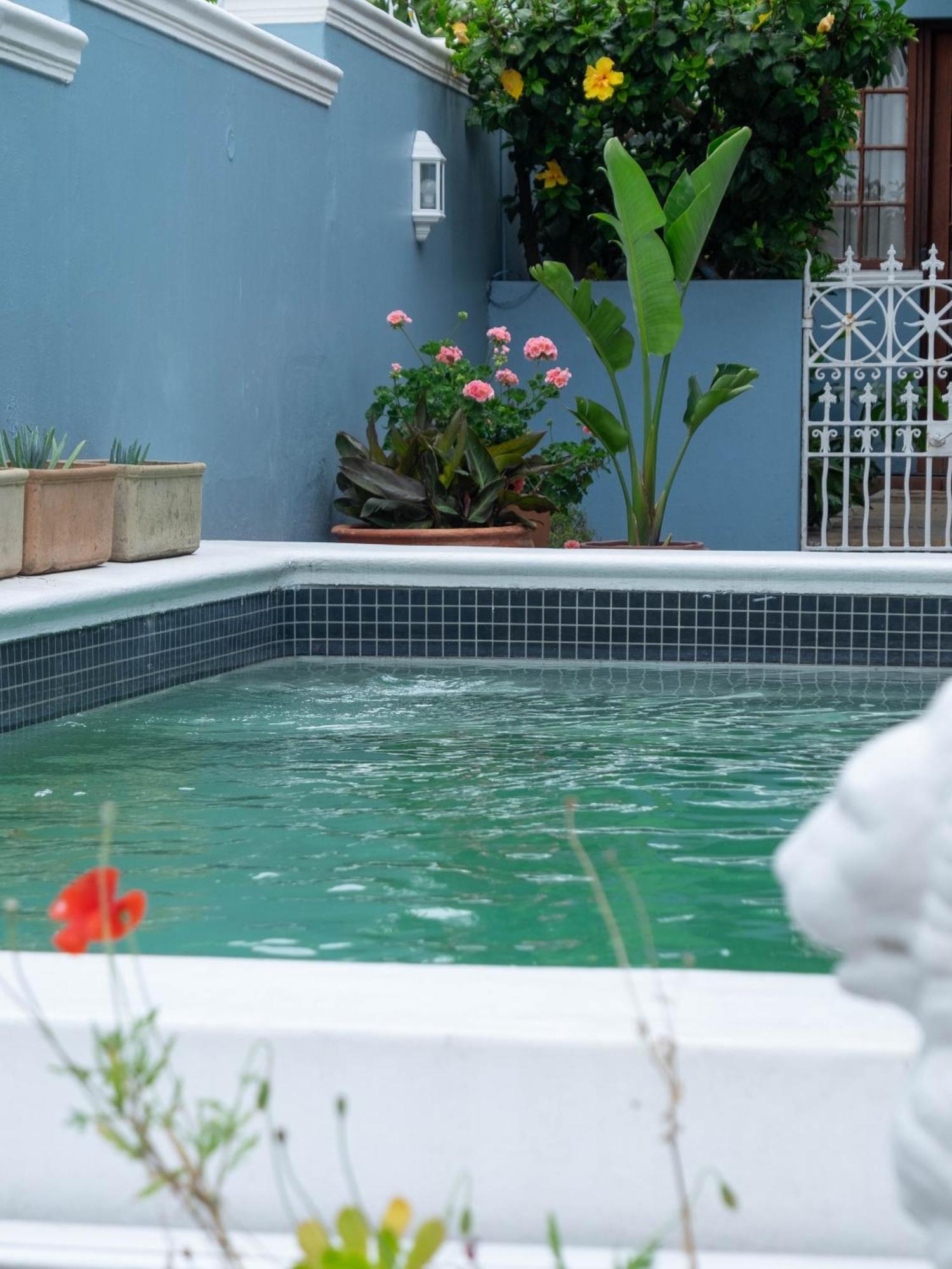 Heritage Villa Tamboerskloof Cape Town Ngoại thất bức ảnh