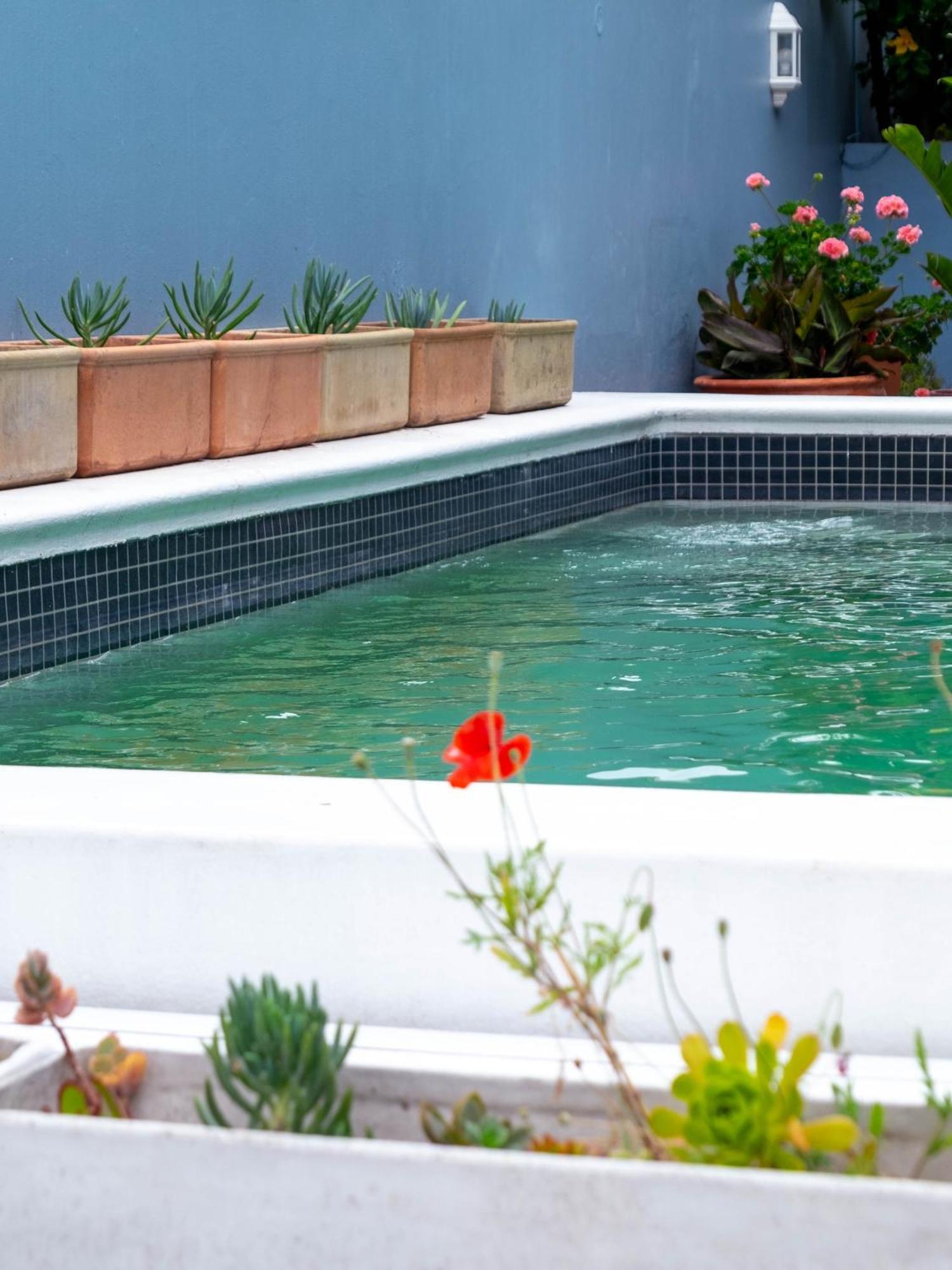 Heritage Villa Tamboerskloof Cape Town Ngoại thất bức ảnh